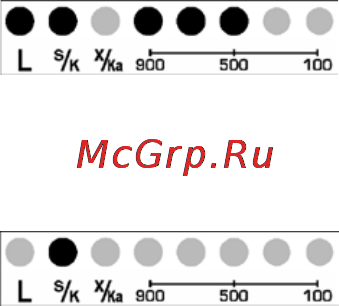 Neoline X-COP 4000 Инструкция по эксплуатации онлайн [14/22] 121944