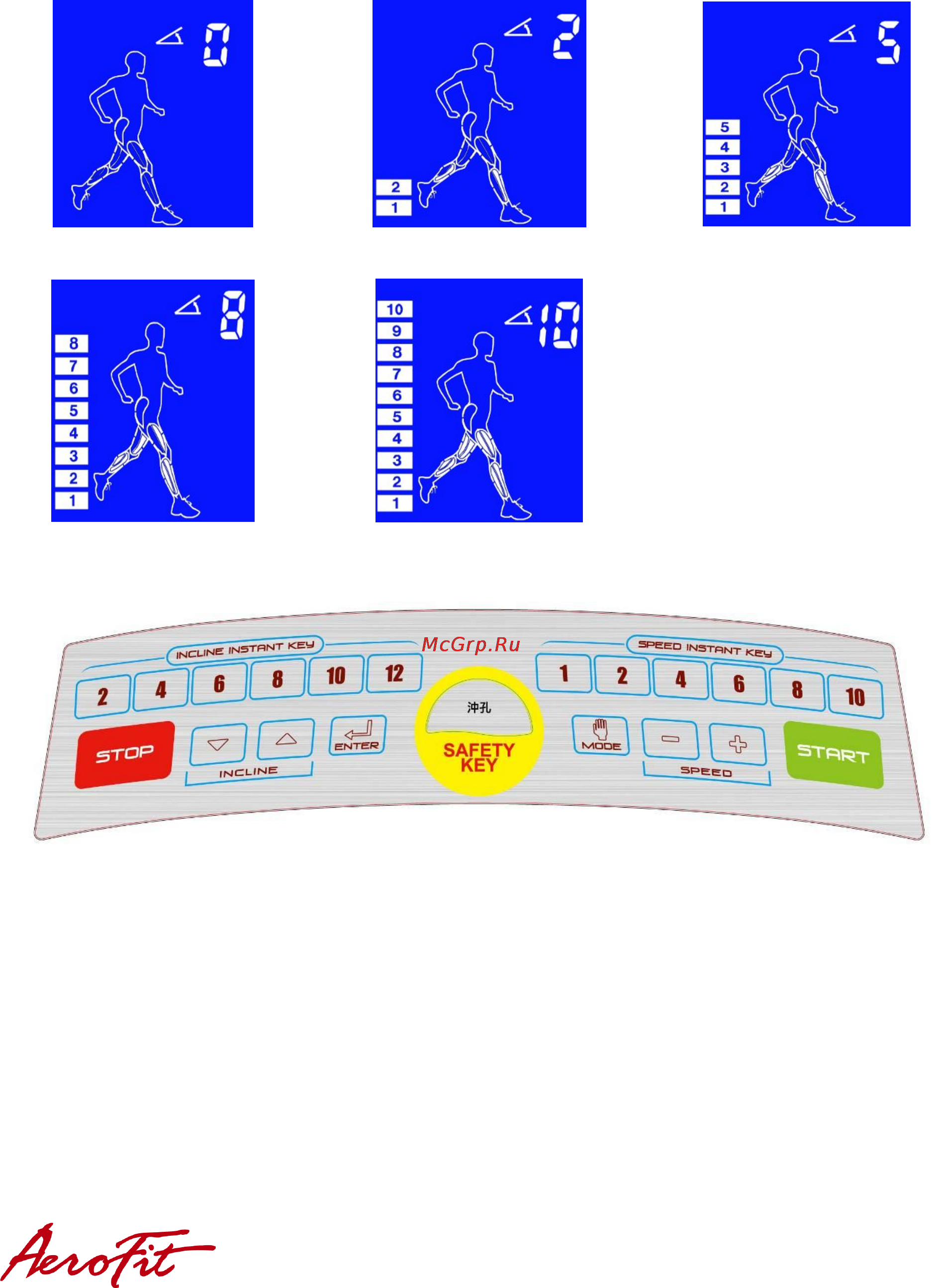 Aerofit X3-T [14/28] Отображение мышц в работе