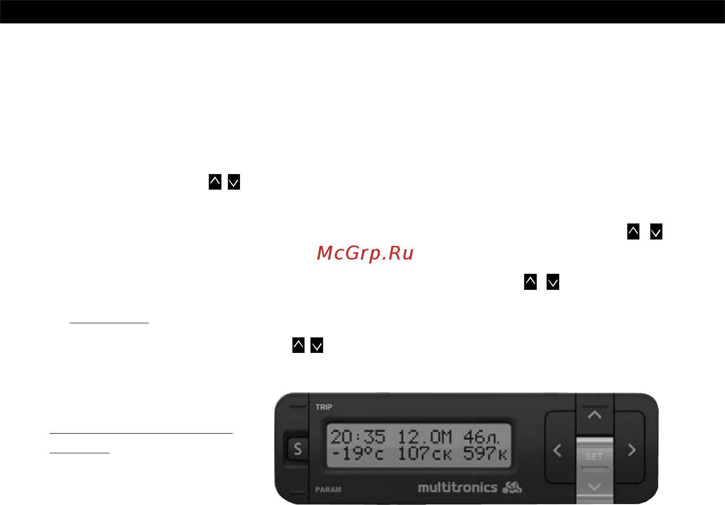 Multitronics VG1031N [36/96] Информационное поле
