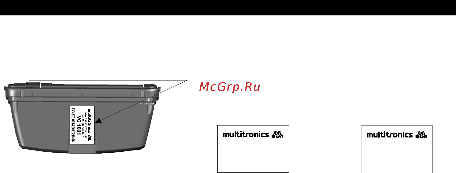 Multitronics VG1031N [91/96] Маркирование ипломбирование