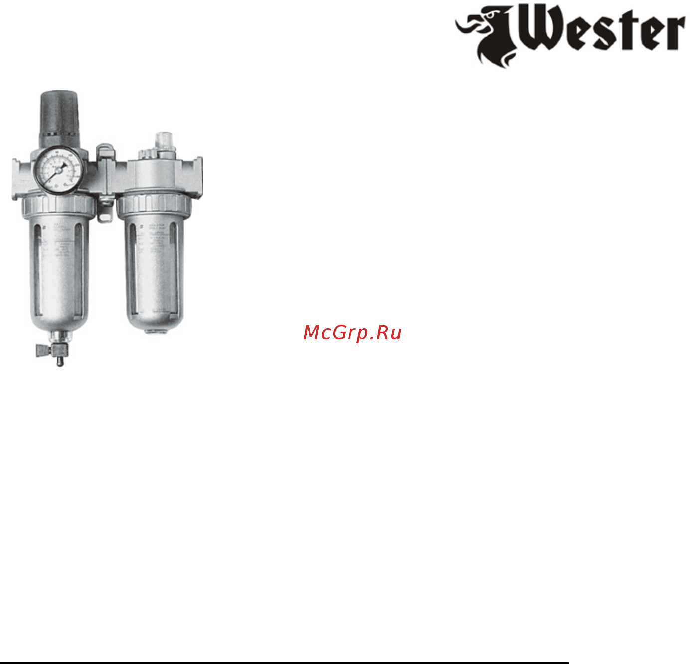 Wester VM-10 зачистной пучковый Инструкция по эксплуатации онлайн [6/8] 503281