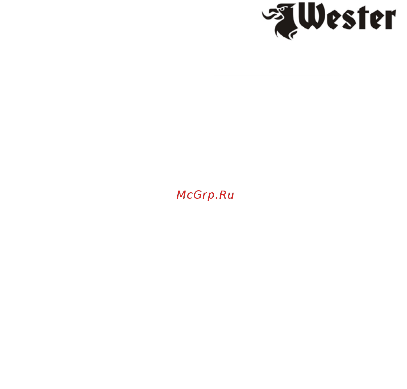 Wester FPG10-PL (804-000) [10/10] Декларация о соответствии единым нормам ес
