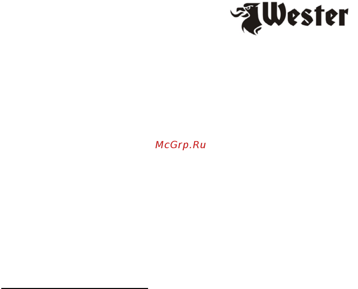 Wester FPG10-PL (804-000) Инструкция по эксплуатации онлайн [2/10] 571122