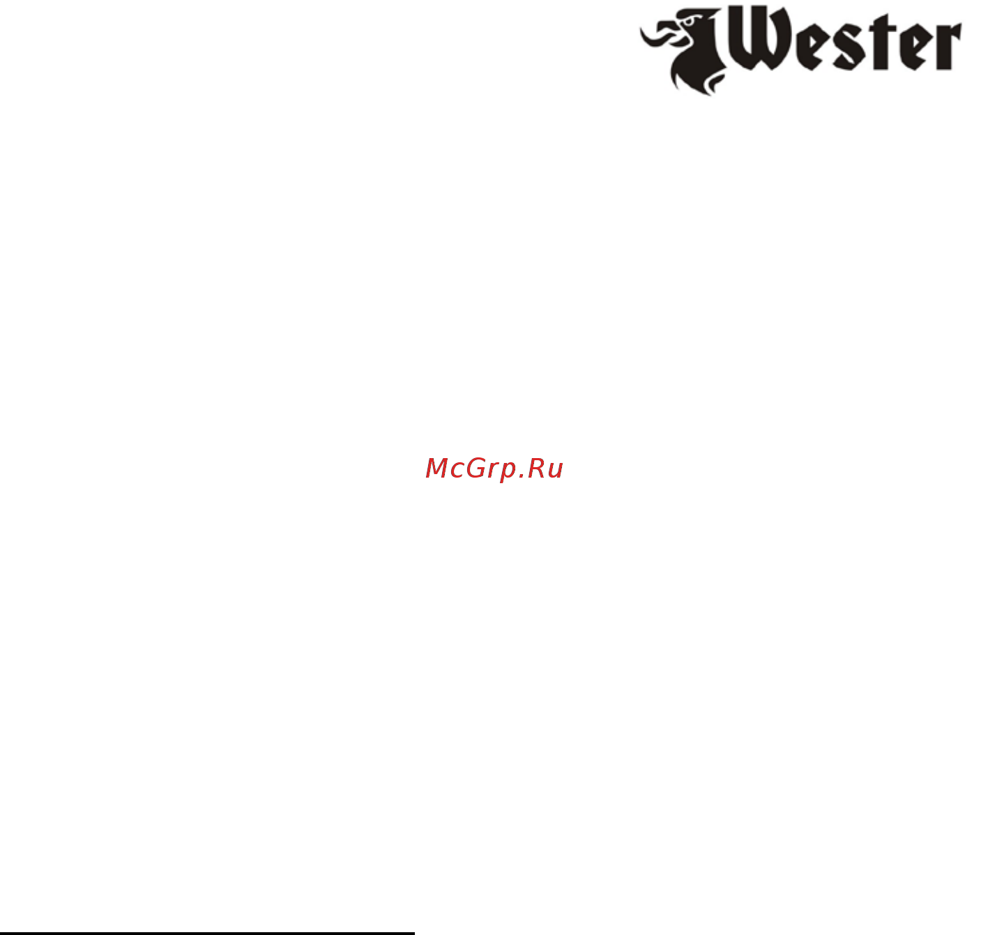 Wester FPG-30 (804-004) Инструкция по эксплуатации онлайн [8/10] 581048