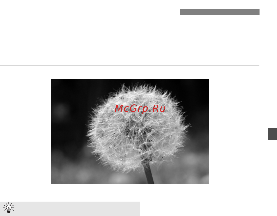 Canon EOS 1000D 18-55 IS [49/196] Съемка крупным планом