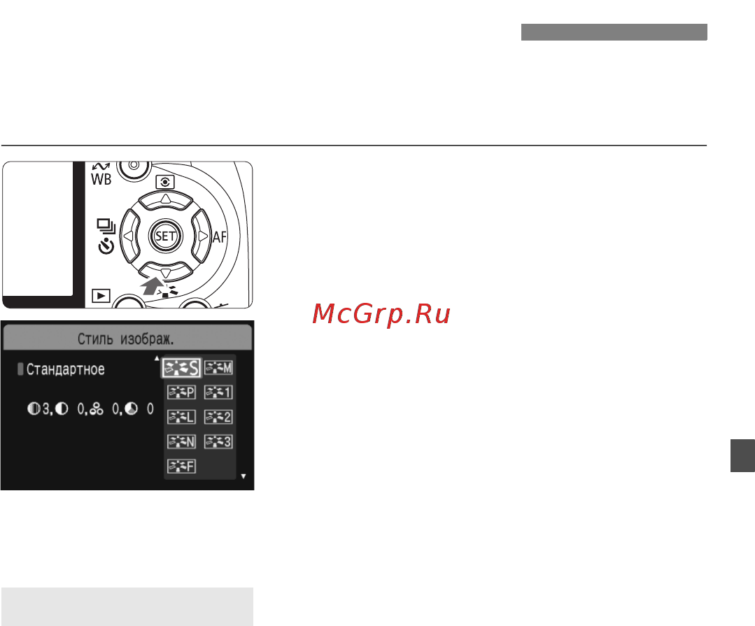 Canon EOS 1000D BODY [67/196] Стили picture style