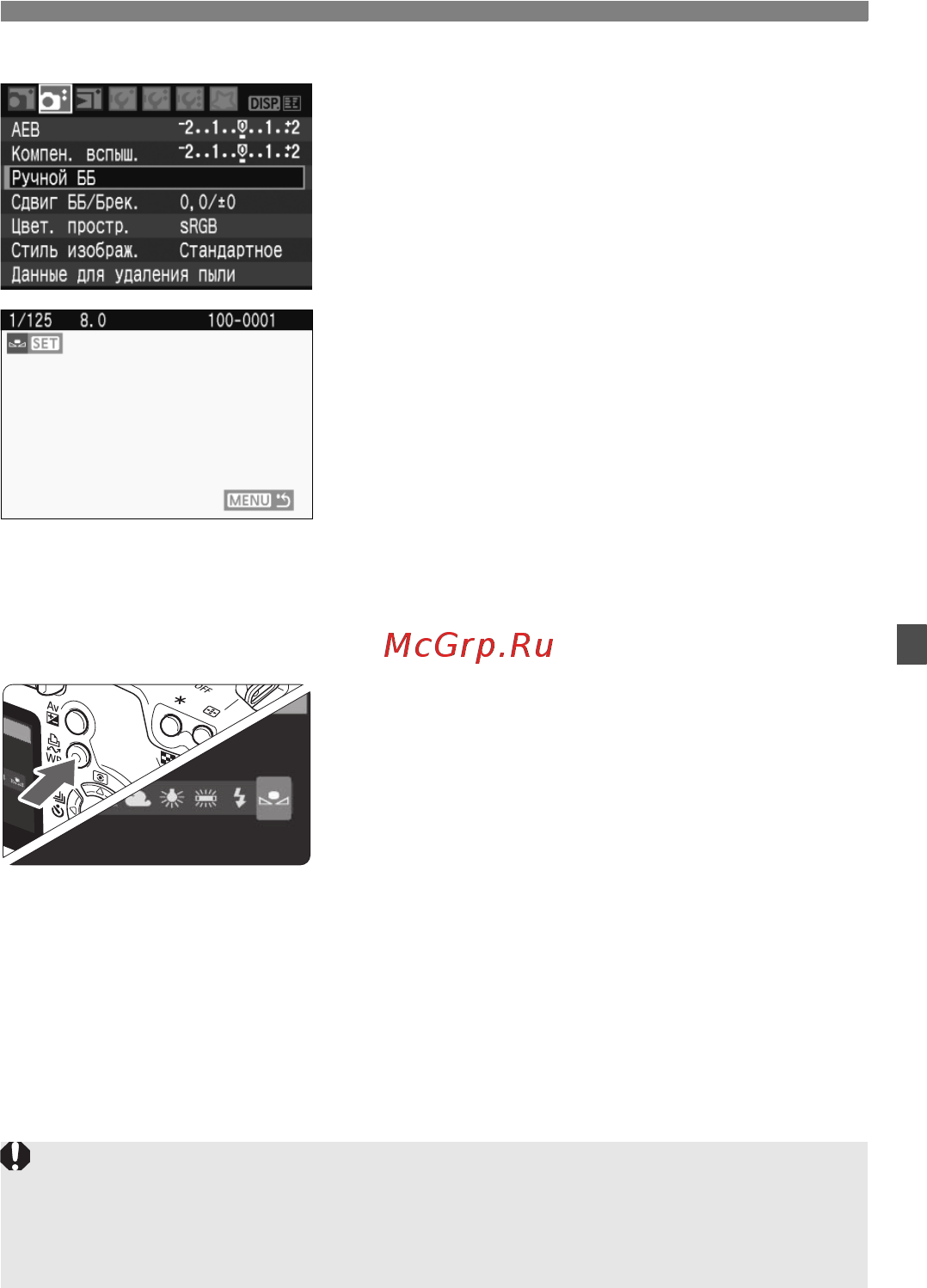 Canon EOS 1000D 18-55 IS [91/196] Импортируйте данные баланса белого