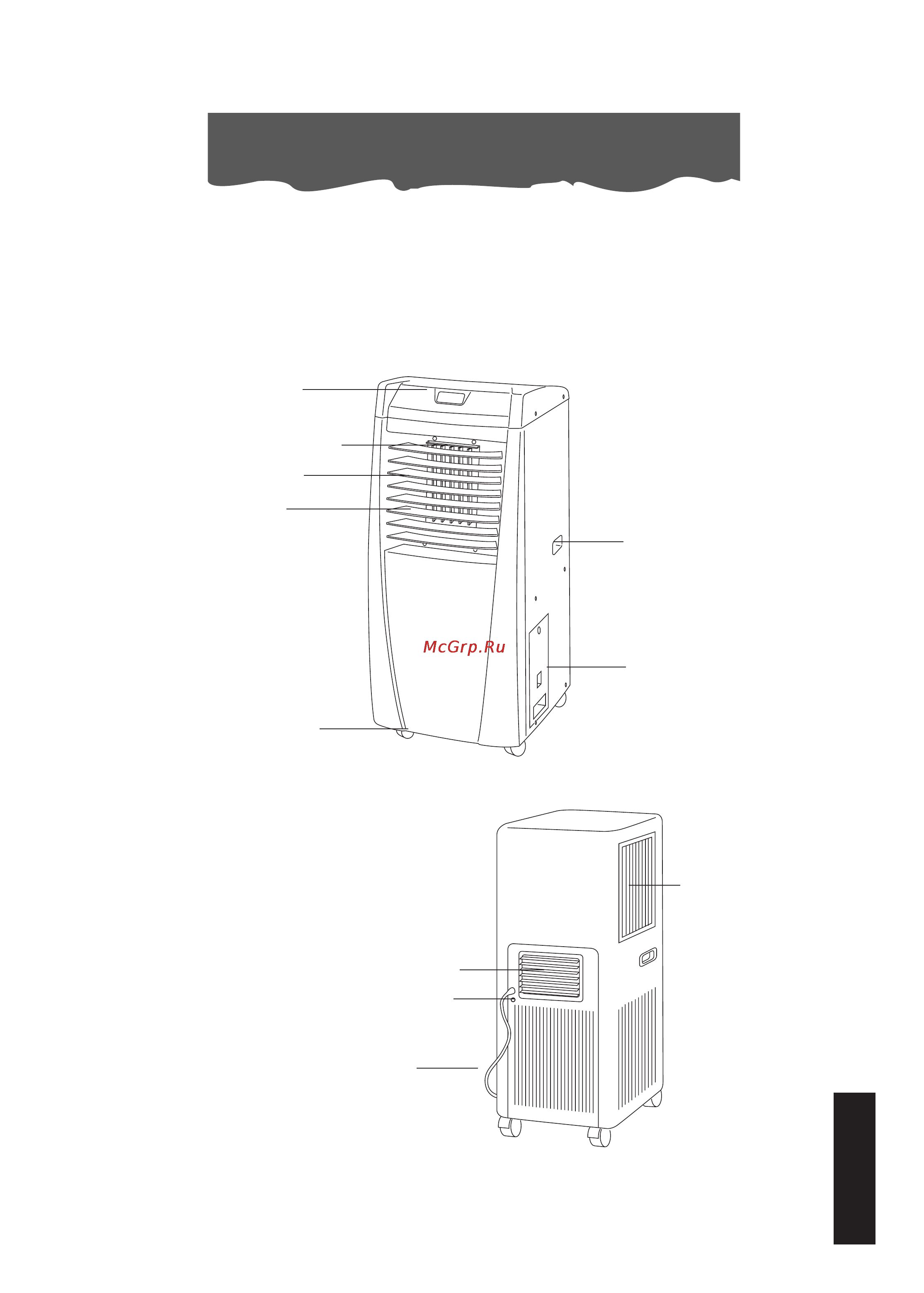 Delonghi CF210 [4/13] Описание