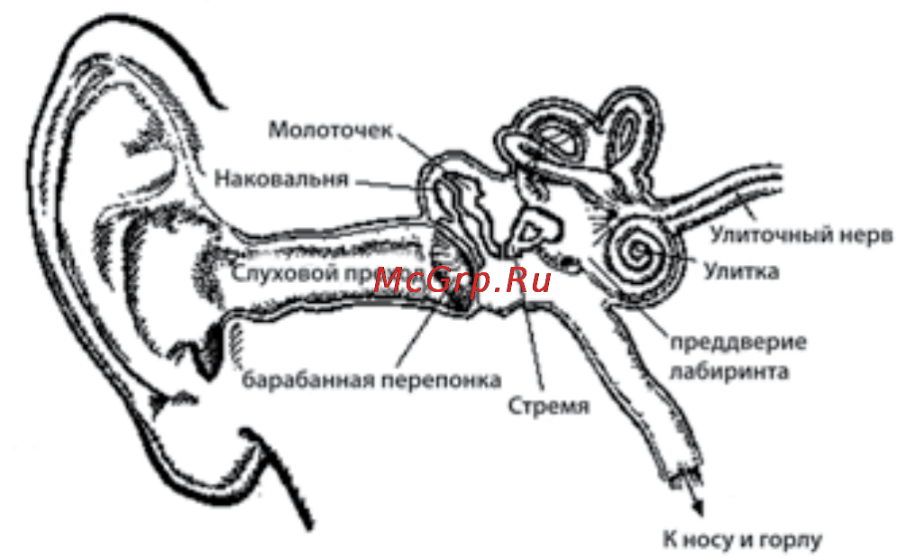 Beats Tour Red 2 (MH8E2ZM/A) Инструкция по эксплуатации онлайн [2/3] 128640