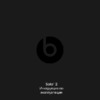 Beats Solo 2 Silver (MH982ZM/A) Инструкция по эксплуатации