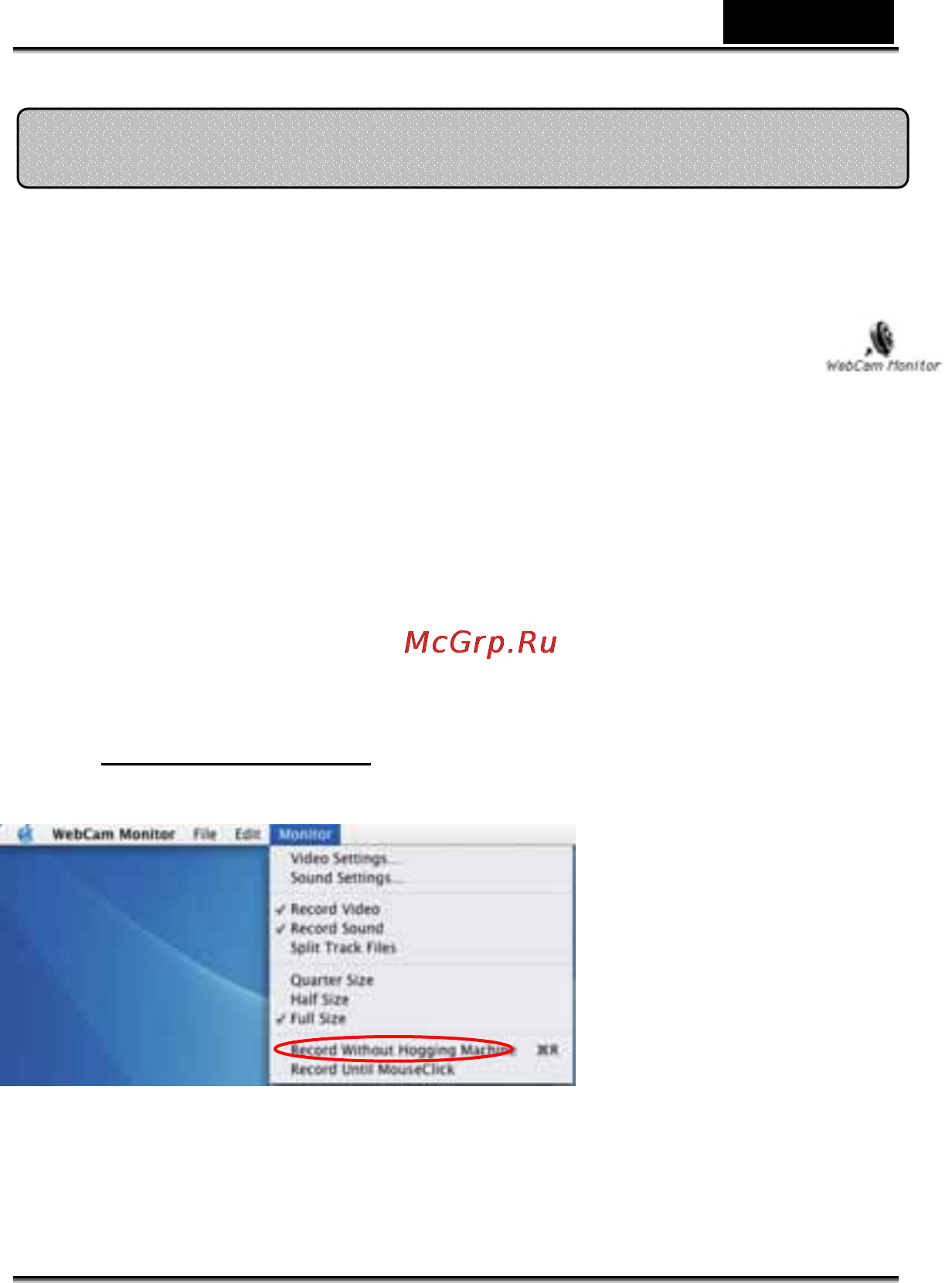 Genius V.Cam Eye USB [11/17] Русский