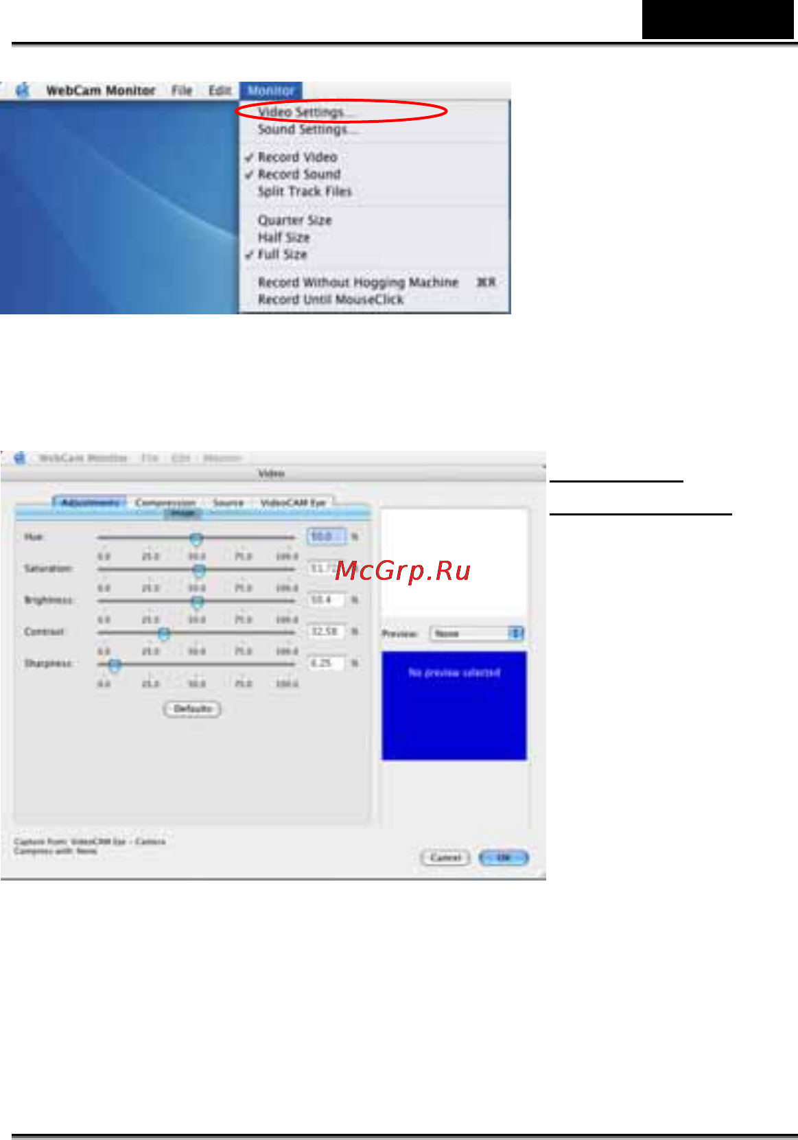 Genius V.Cam Eye USB [13/17] Русский