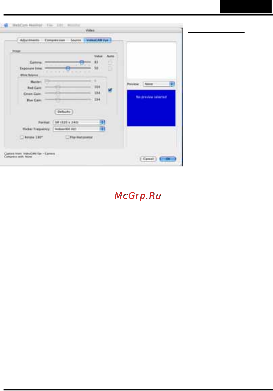 Genius V.Cam Eye USB [15/17] Русский