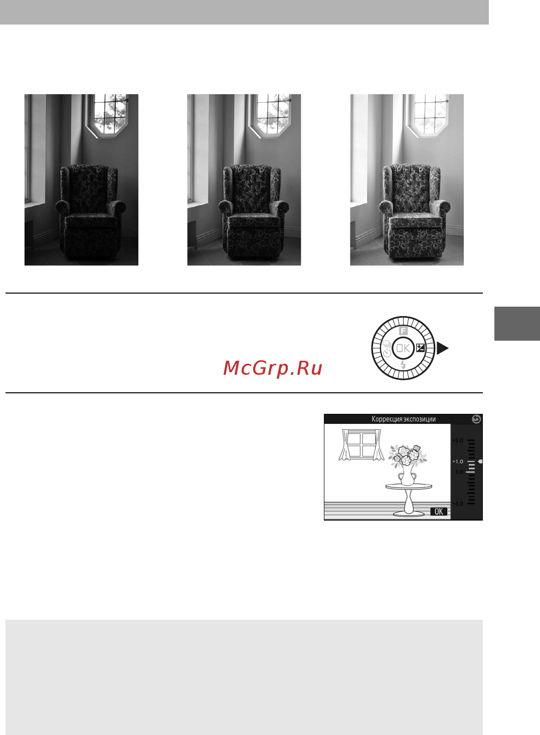 Nikon 1 J5 Kit Silver [123/270] Коррекция экспозиции