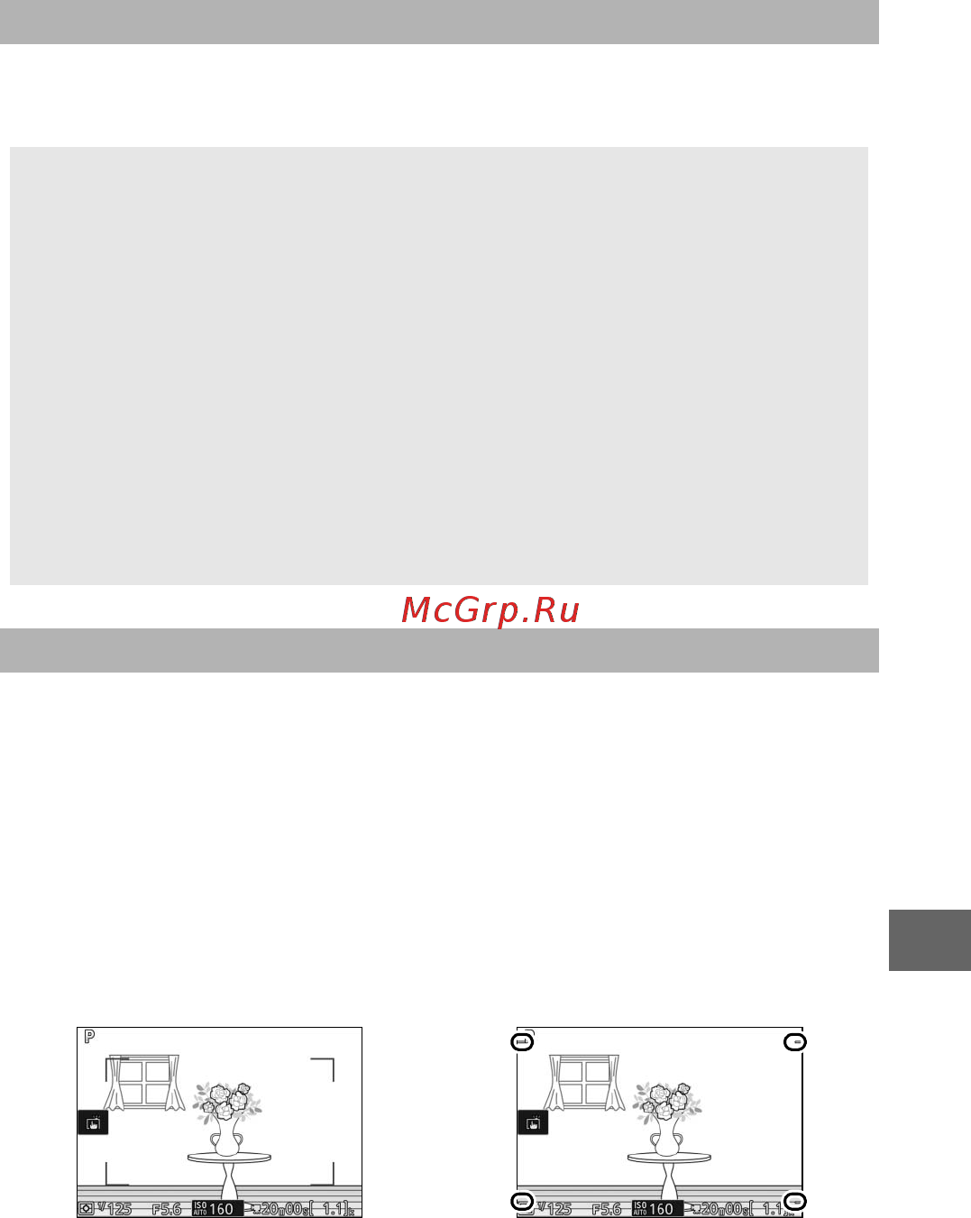 Nikon 1 J5 Kit Silver [205/270] Оптический vr