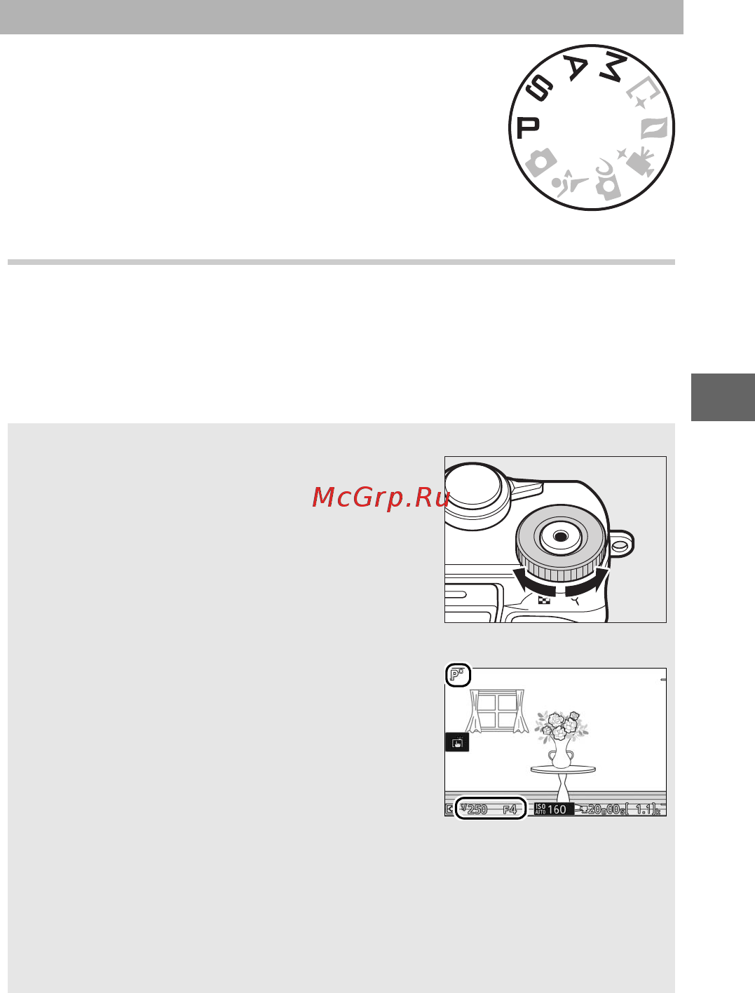 Nikon 1 J5 Kit Silver [89/270] Фотосъемка в режимах p s a и m