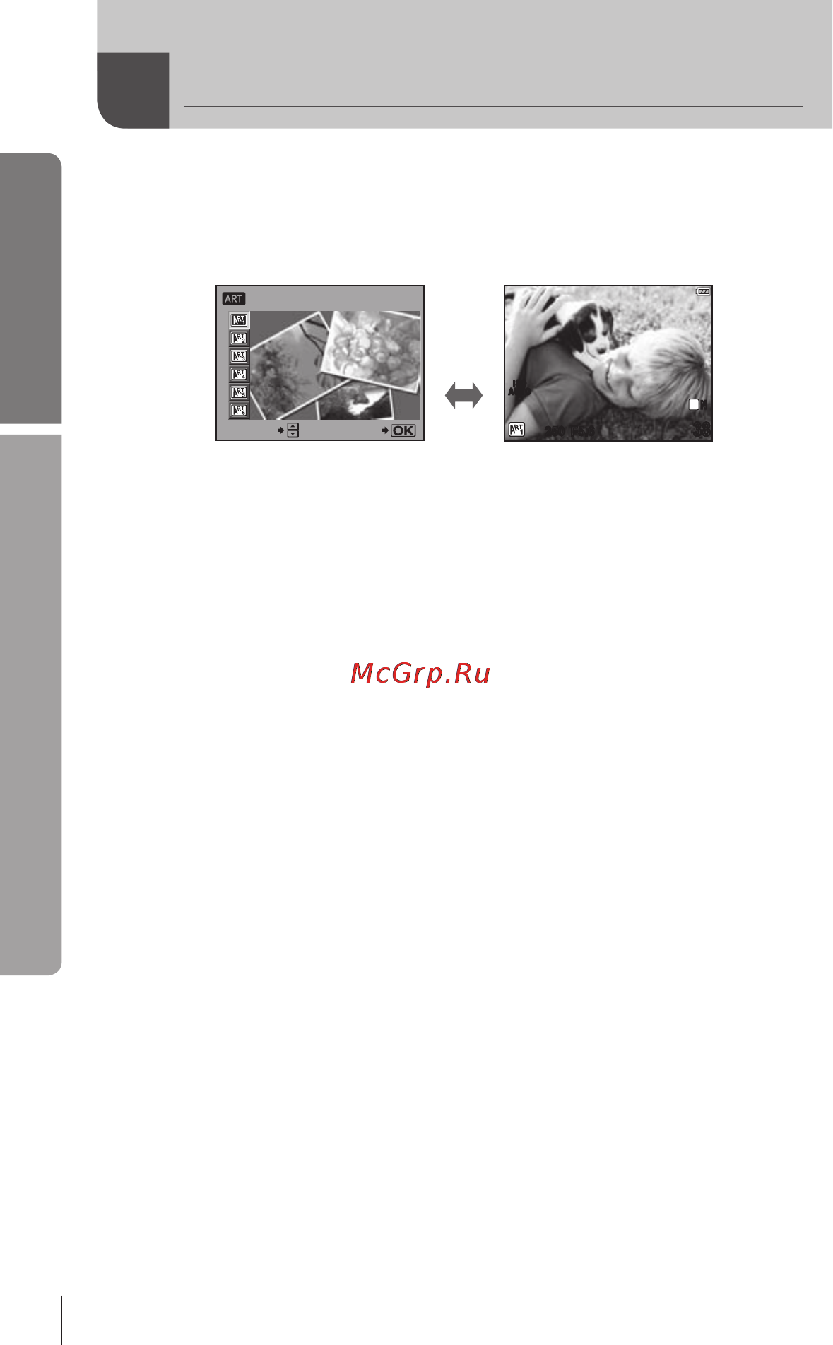 Olympus E-PL1 Champagne + 1442 Silver Kit [22/133] Применение художественных фильтров