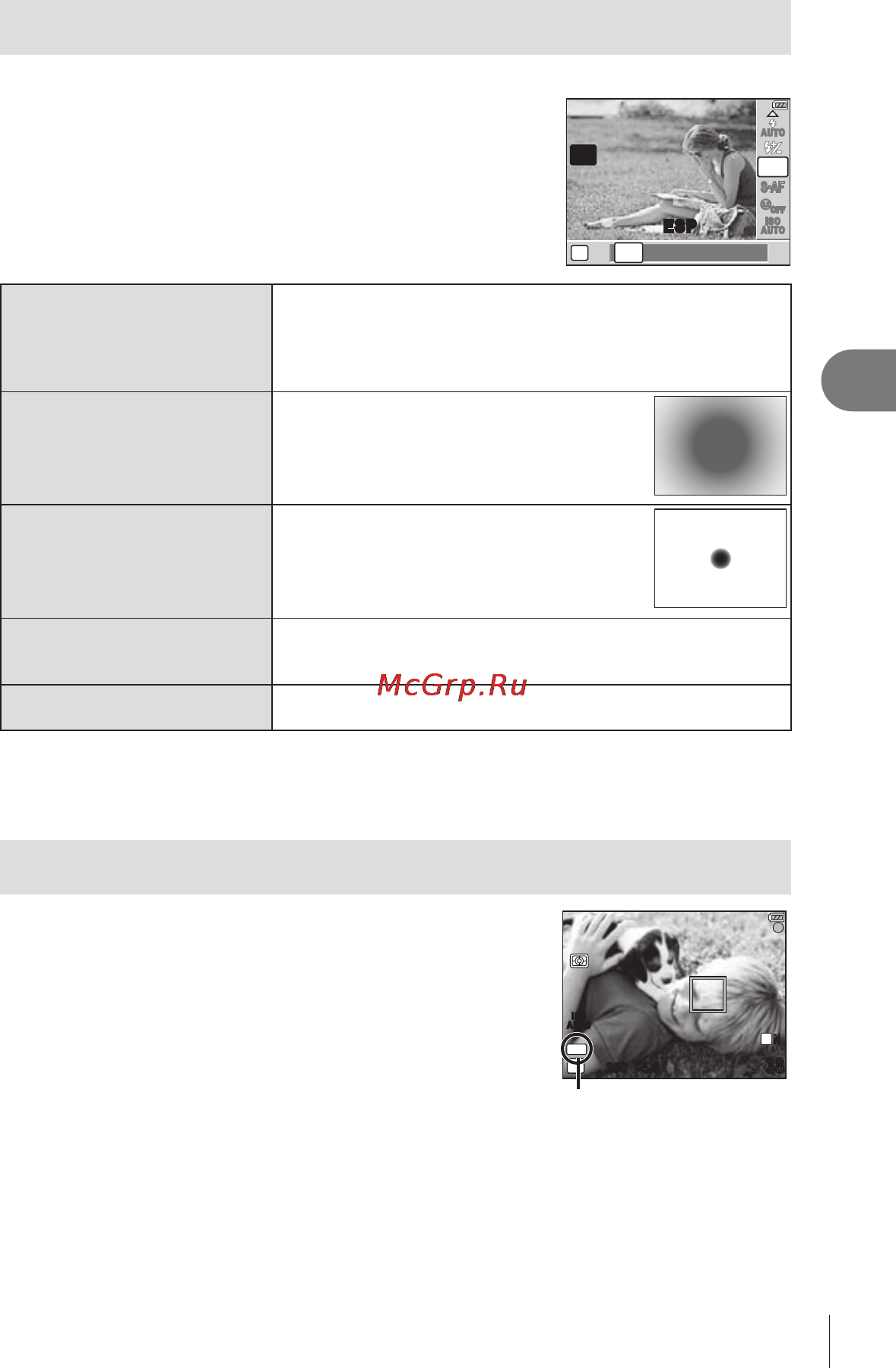 Olympus E-PL1 Champagne + 1442 Silver Kit [53/133] Фиксация экспозиции автоматической экспозиции