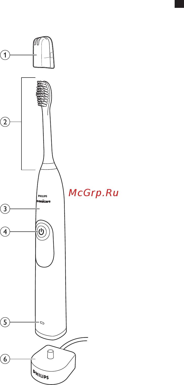 Philips HX6231/01 Инструкция по эксплуатации онлайн [3/18] 138302