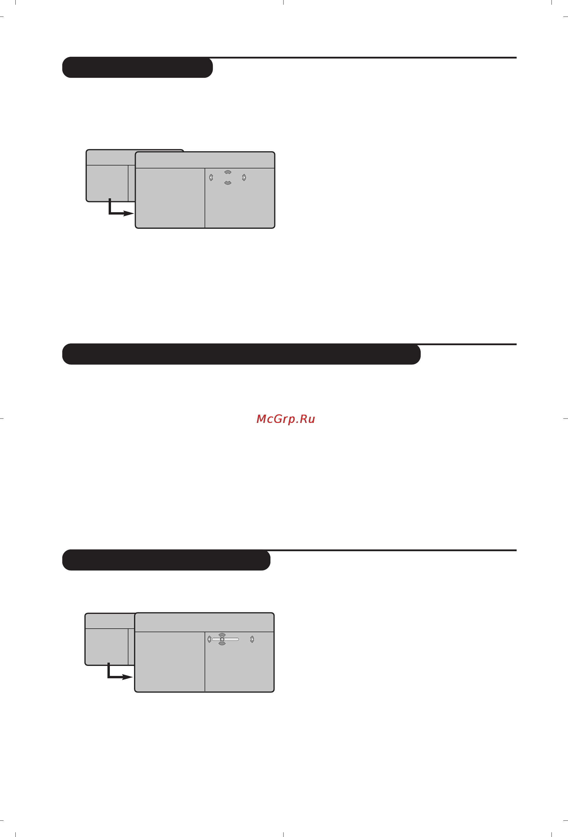 Philips 20 PF 7846/12 [6/10] Запомнить ручн