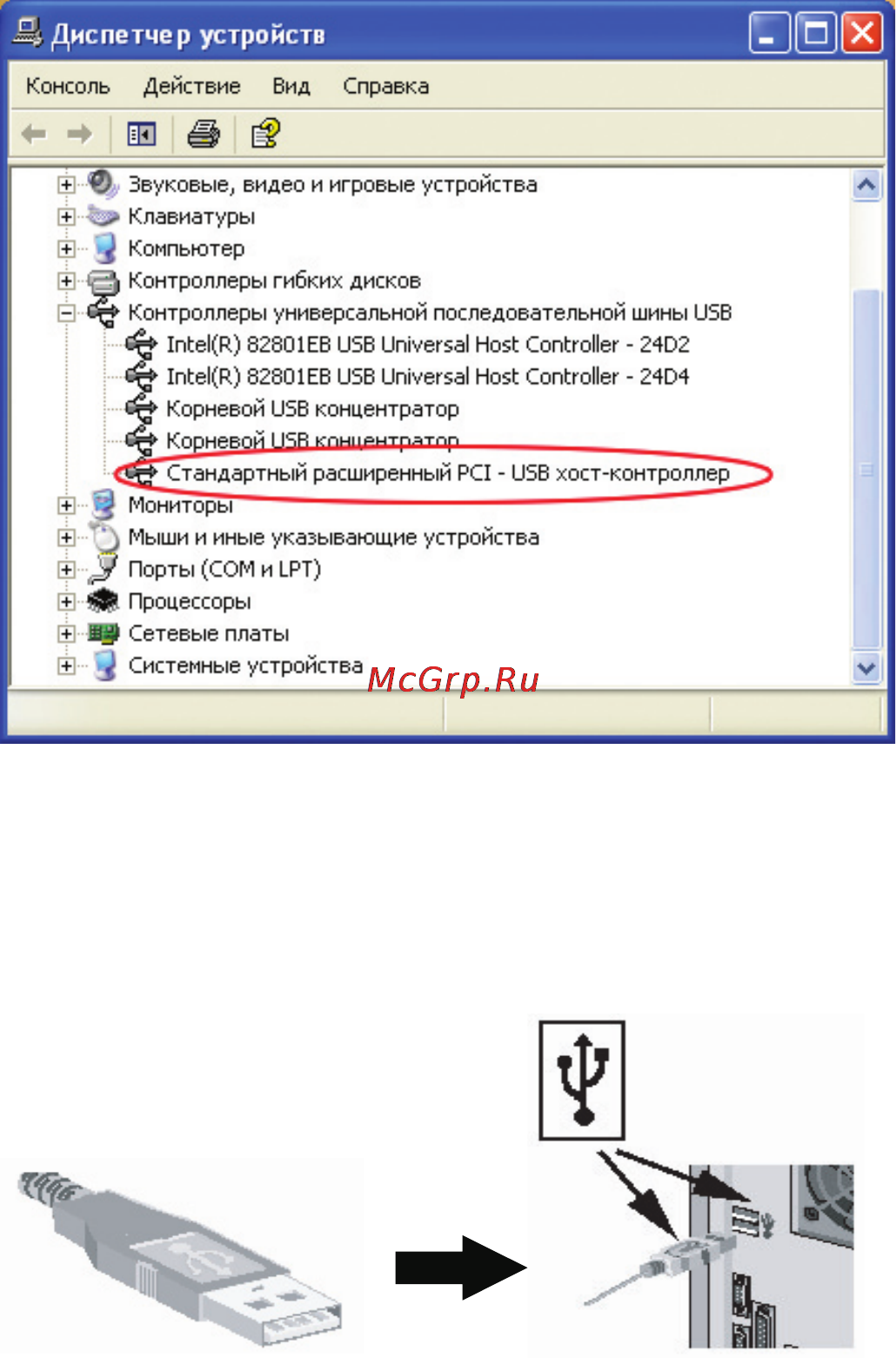 Rover MS-DVE1внеш [6/10] Для ос windows 2000 xp