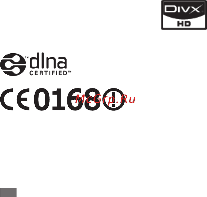 Samsung GT-I9000 Black [4/132] Видео в формате divx