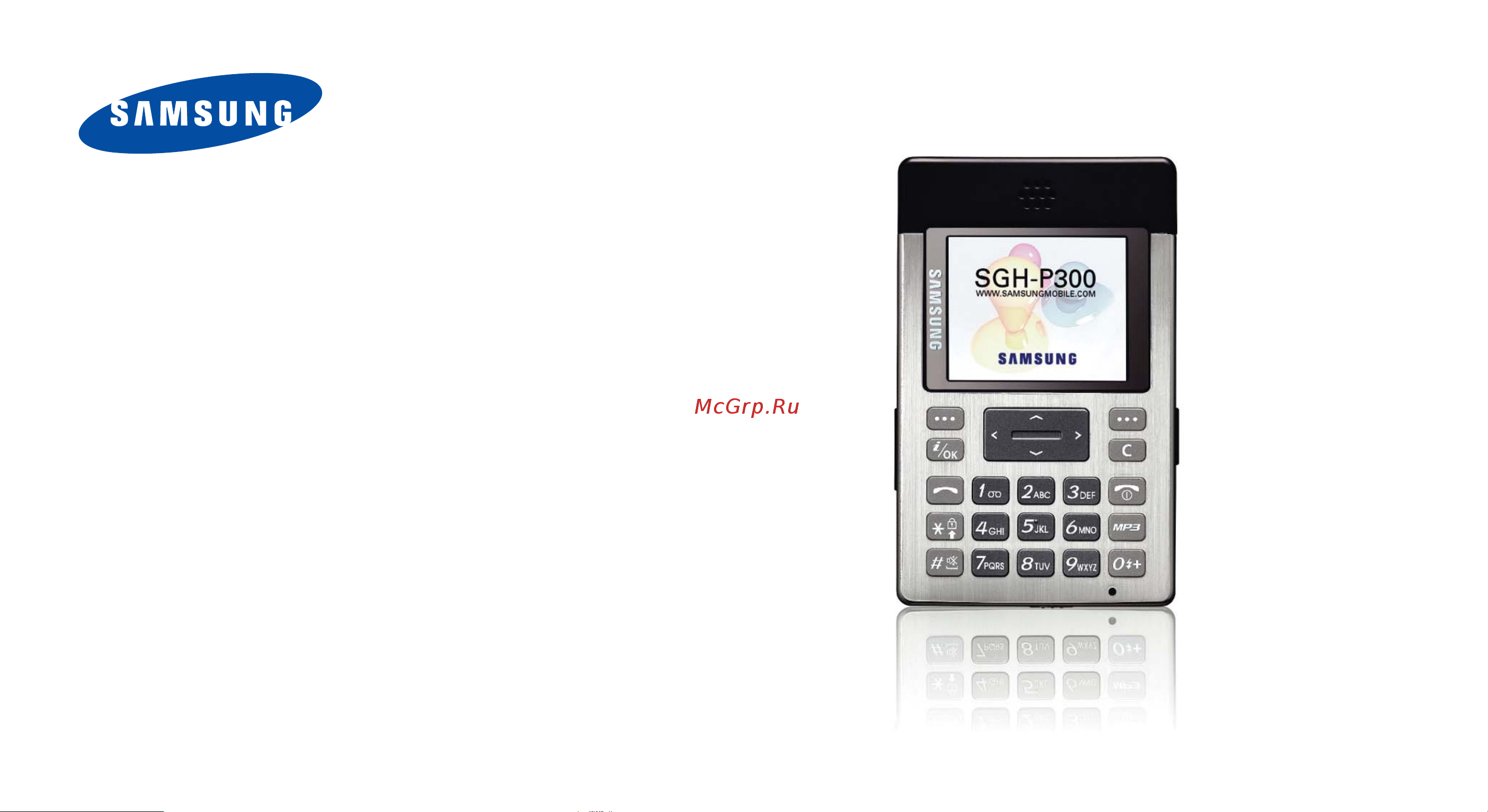 Samsung P300 X black Инструкция по эксплуатации онлайн [2/101] 141406