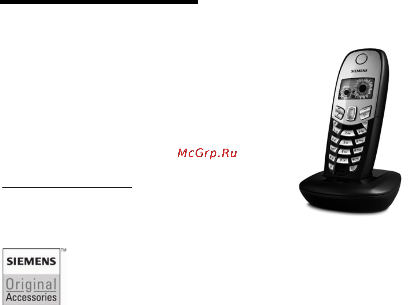Siemens Gigaset C455 black [45/49] Аксессуары