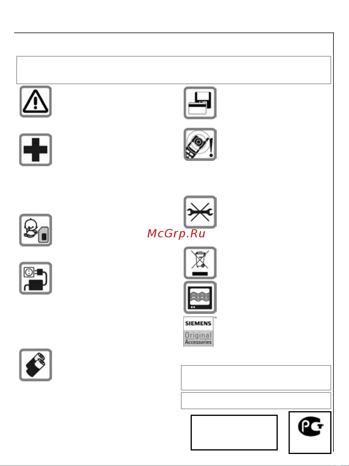 Siemens A75 polar silver [16/16] Ссс