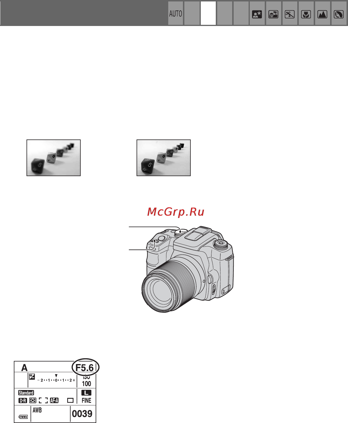 Sony DSL R-A100K Black [34/171] Фотосъемка в режиме с приоритетом диафрагмы