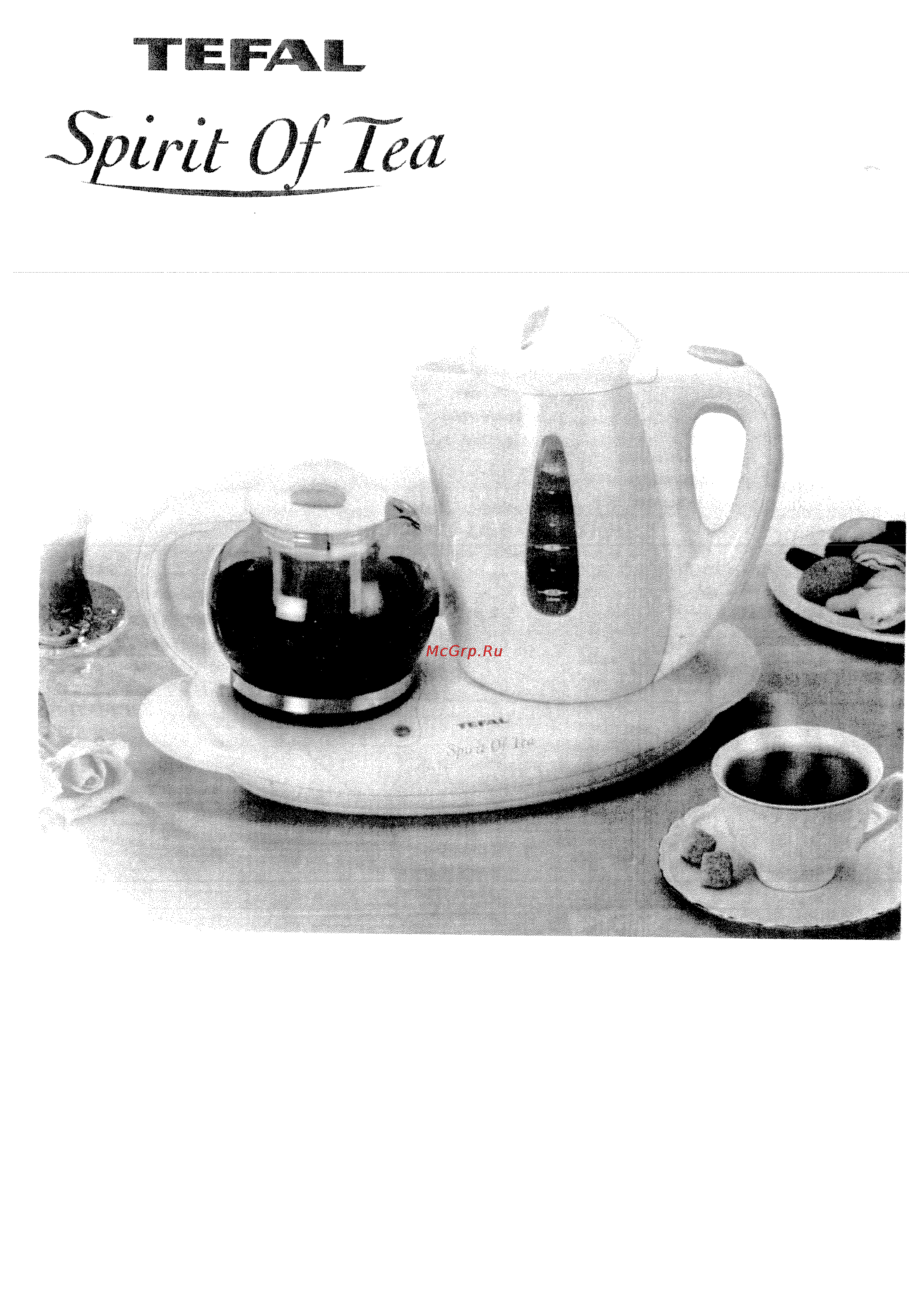 Tefal Spirit of TeaS Руководство по эксплуатации онлайн