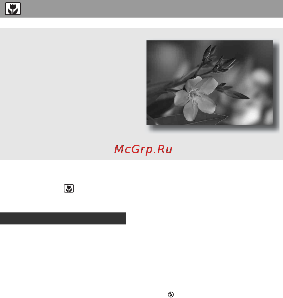 Sony DSLR-A200K 18-70 Black + DPP-FP75 White [54/183] Съемка мелких объектов