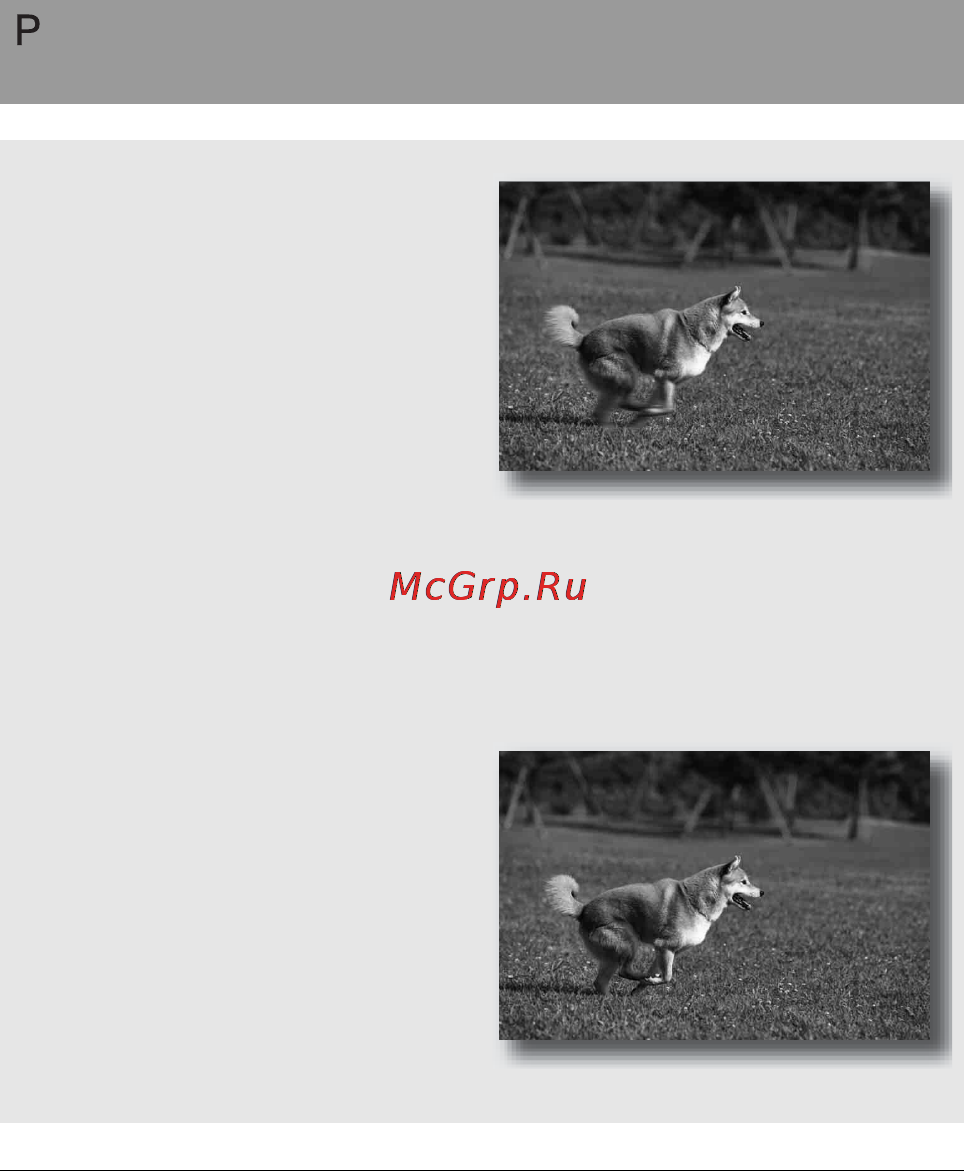 Sony DSLR-A200K 18-70 Black + DPP-FP75 White [60/183] Съемка с использованием программной автоматической регулировки