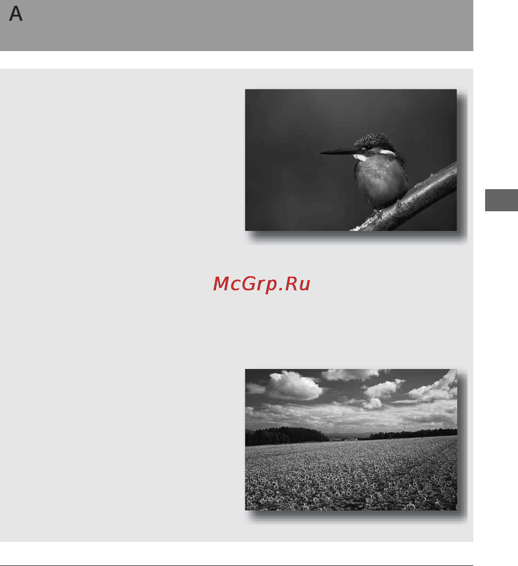 Sony DSLR-A200K 18-70 Black + DPP-FP75 White [63/183] Съемка с контролем размывания фона приоритет диафрагмы