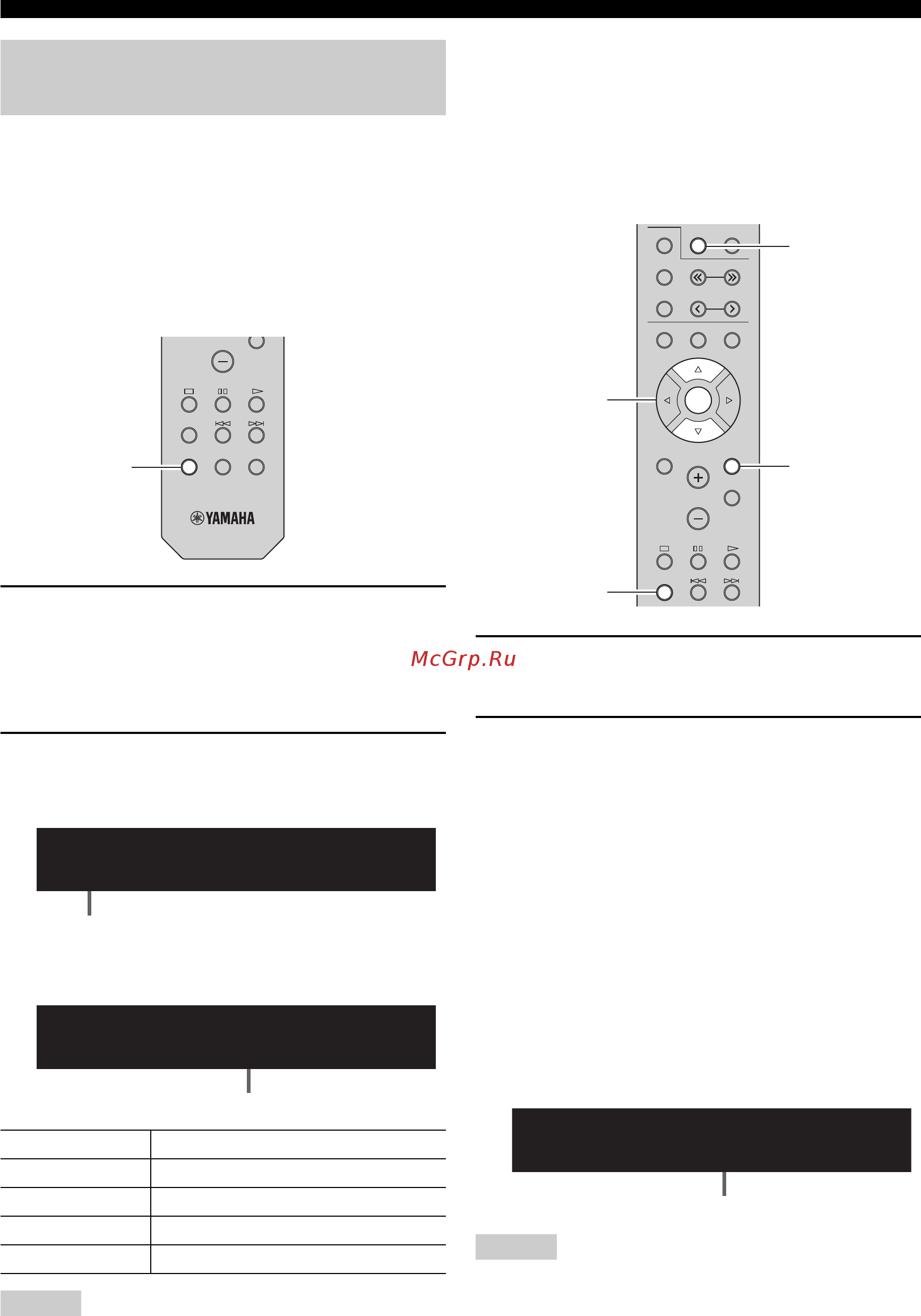 Yamaha R-N301 Silver [114/382] Program type info
