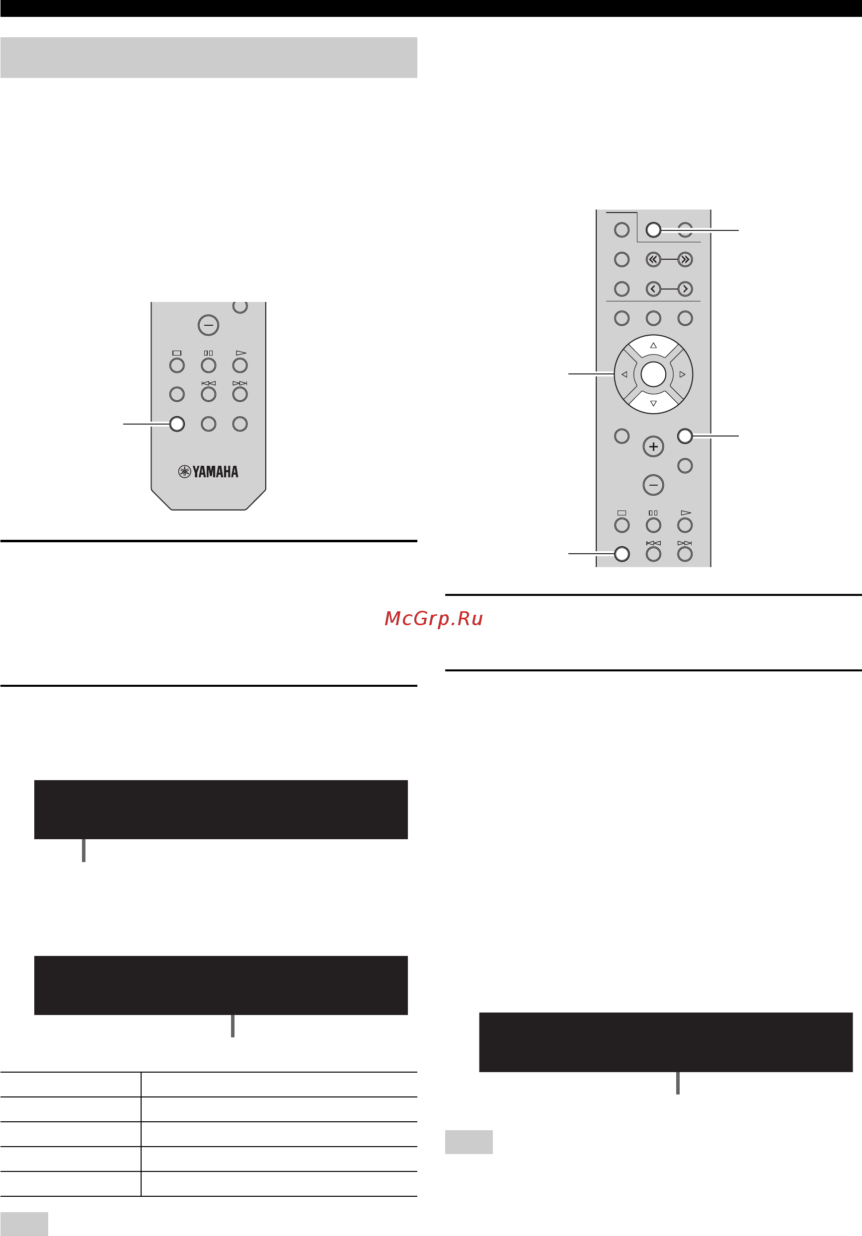 Yamaha R-N301 Silver [206/382] Program type info