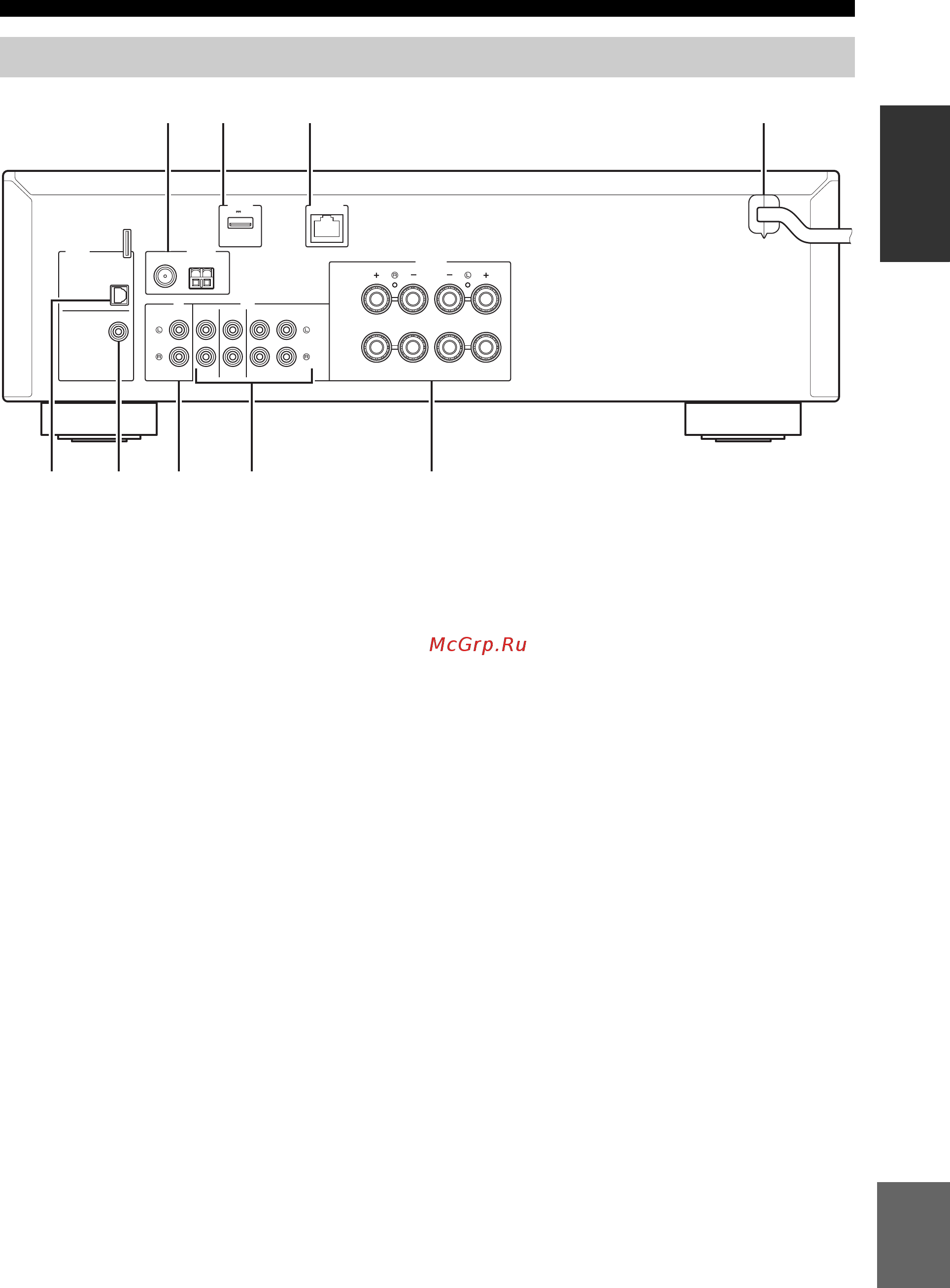 Yamaha R-N301 Silver [239/382] Panel trasero