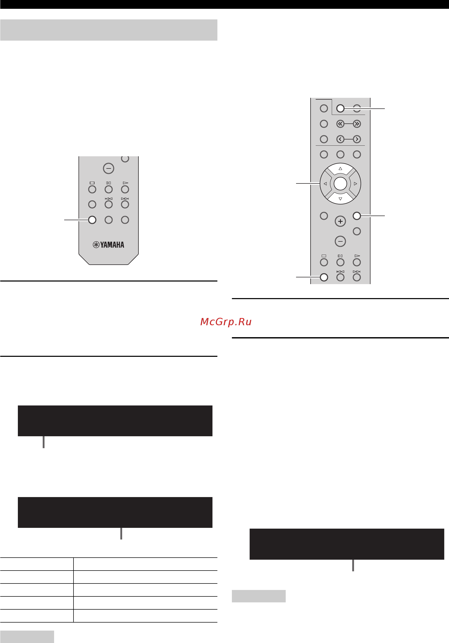 Yamaha R-N301 Silver [298/382] Program type info