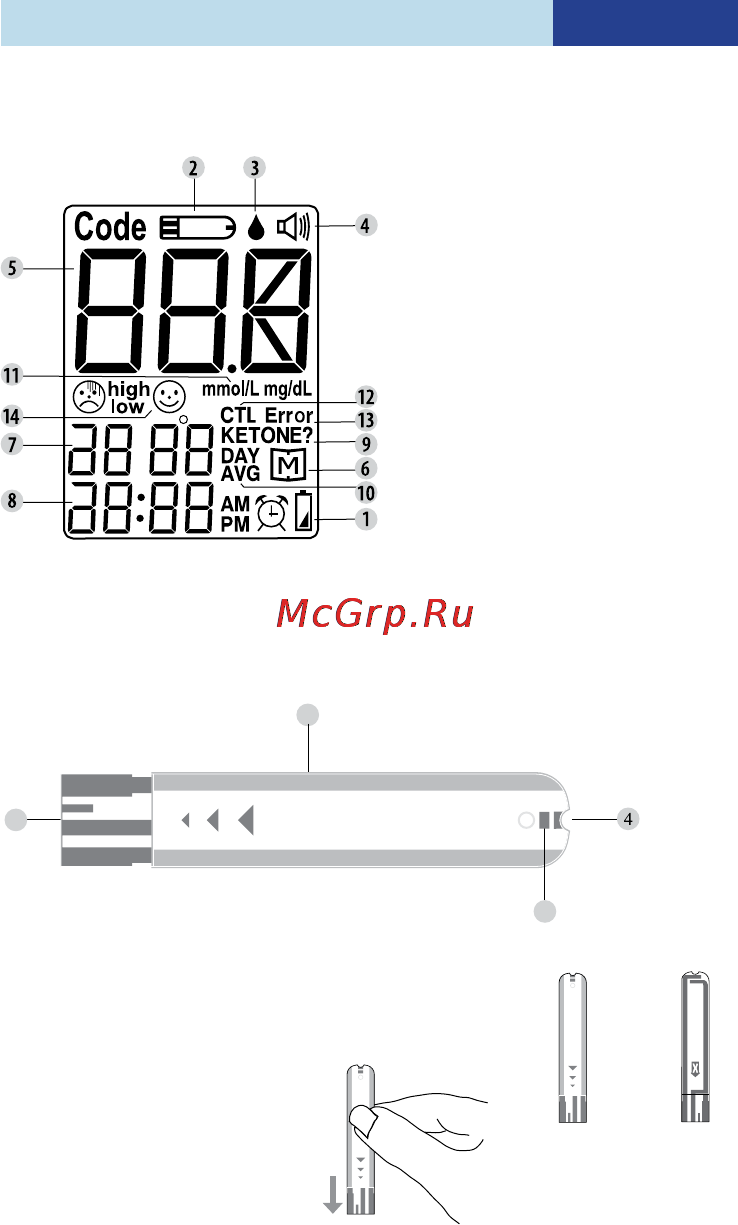 B.Well wg-72 voice [9/36] Инструкция по эксплуатации wg 72 voice
