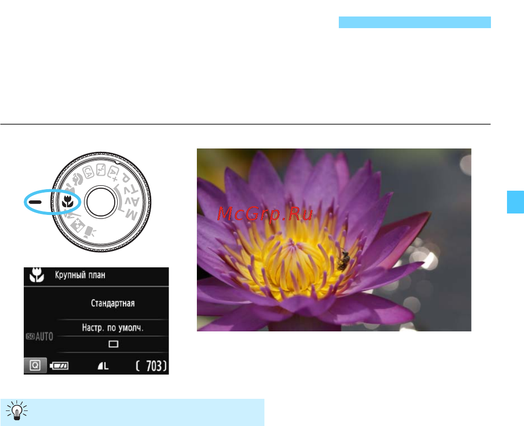 Canon eos 1200d kit ef-s 18-135mm is black [67/342] Съемка крупным планом