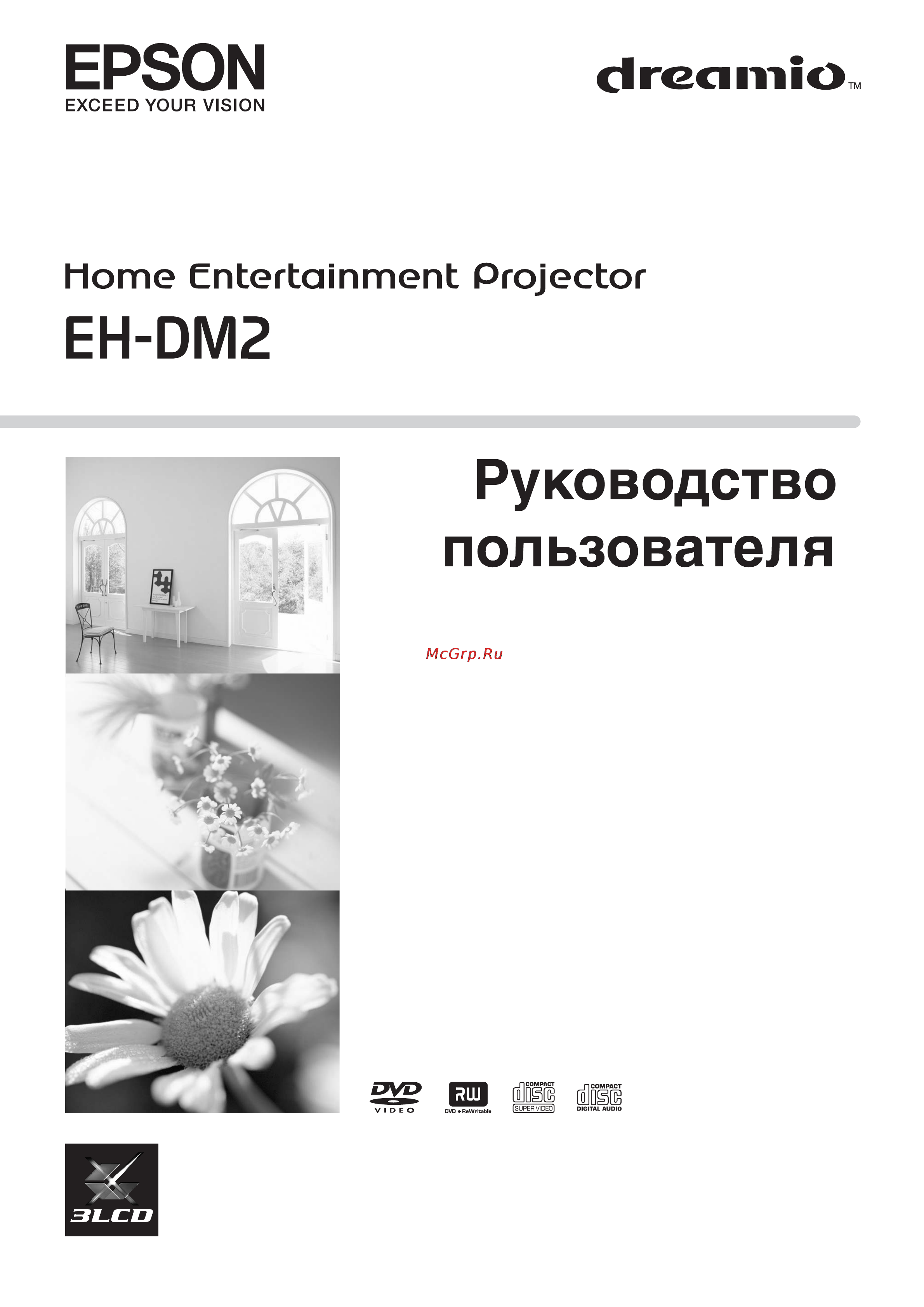 Epson EH-DM2 Руководство пользователя онлайн