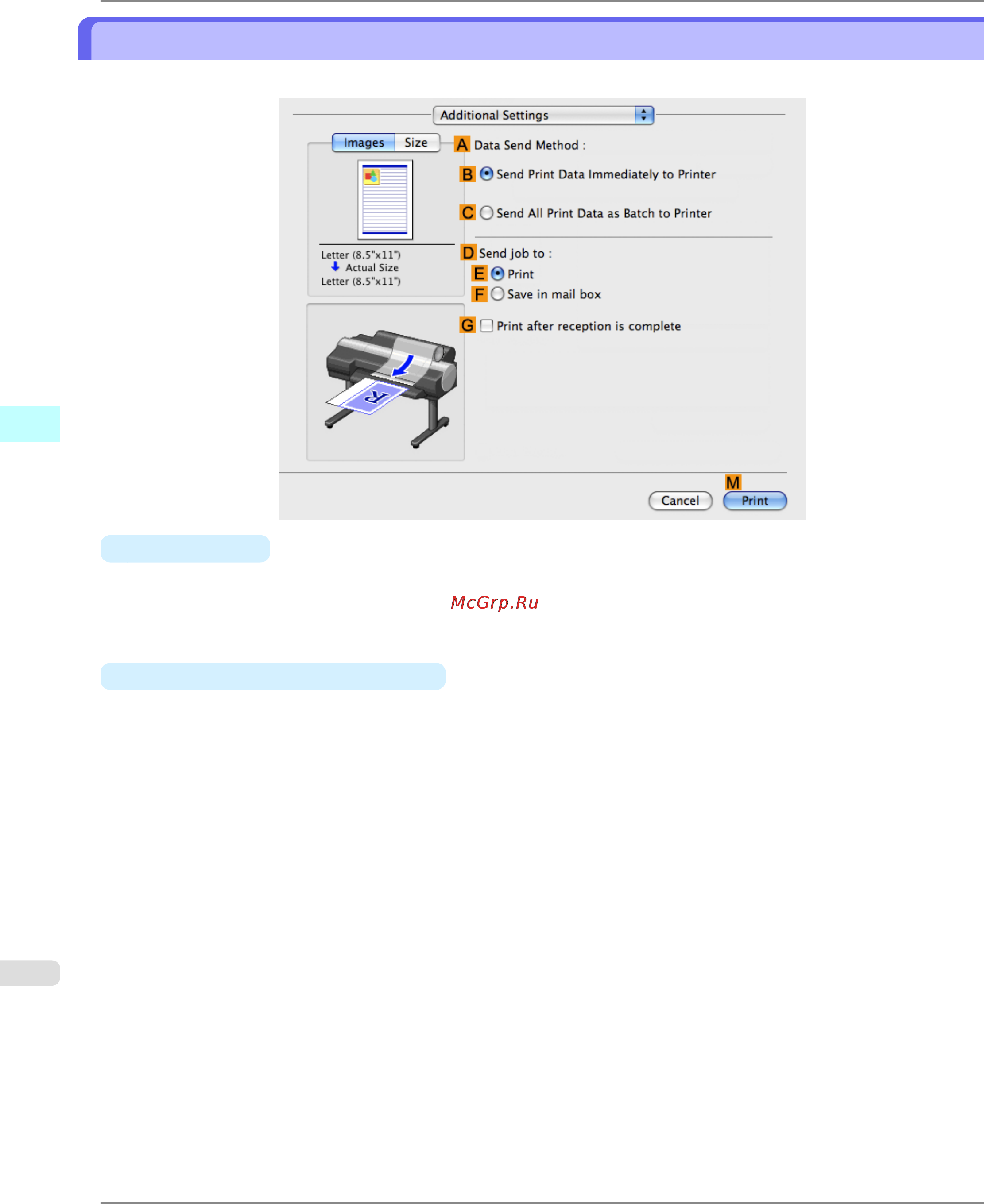 Canon imagePROGRAF iPF6300 [534/1126] Additional settings pane