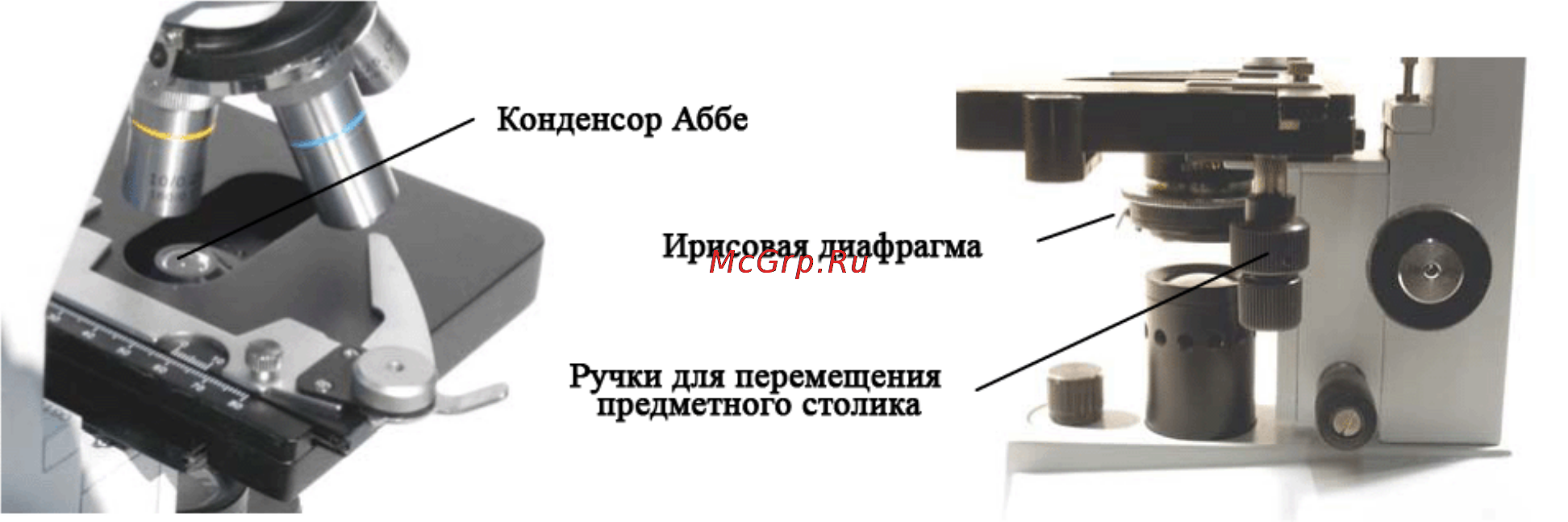 Celestron laboratory -400x [16/20] Просмотр образцов