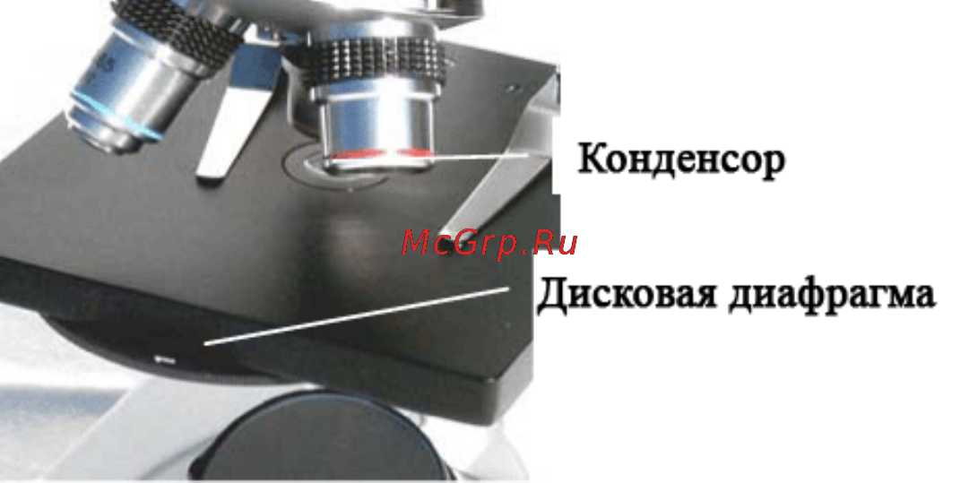 Celestron laboratory -400x [7/20] Просмотр образцов