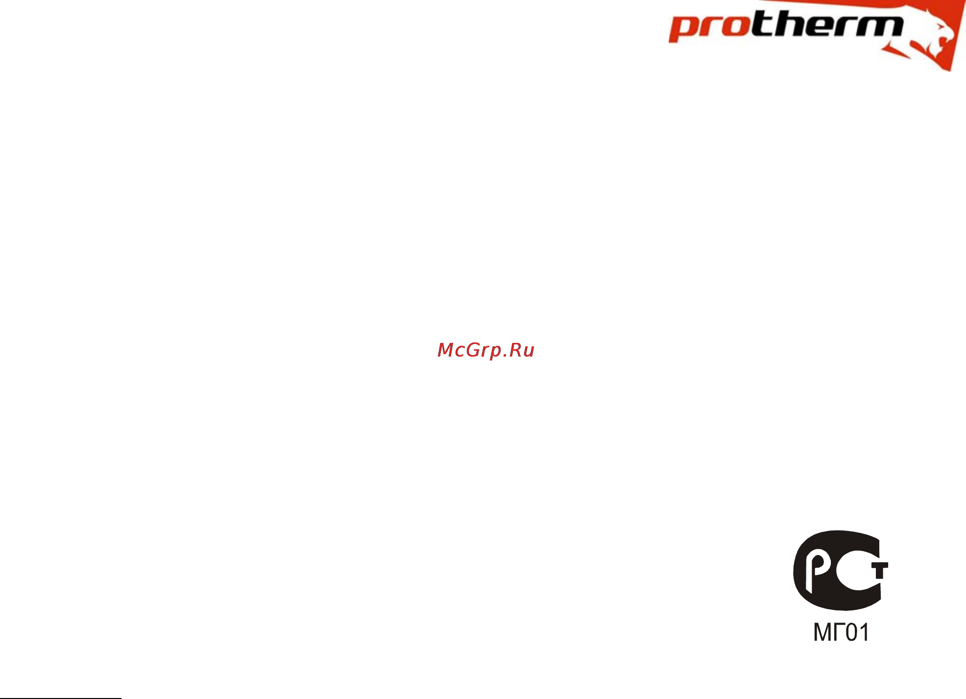 Protherm Бизон NO 150 [2/2] Паспорт изделия