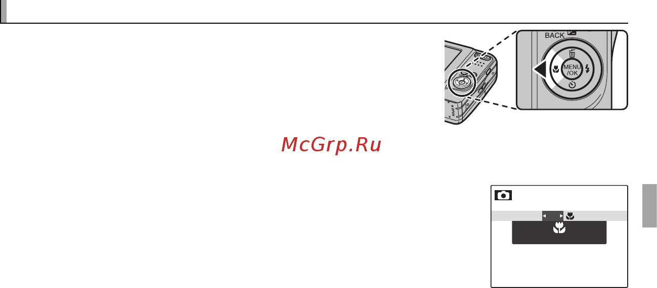 Fujifilm FinePix AX650 Silver [39/112] F f режим макросъемки съемка с близкого расстояния режим макросъемки съемка с близкого расстояния