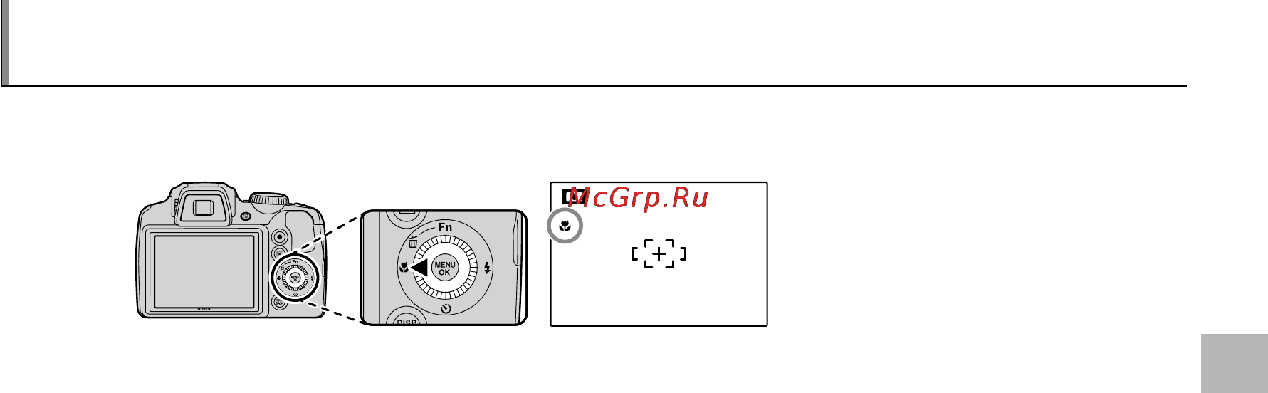 Fujifilm FinePix S9800 [49/143] Режимы макросъемки и супер макросъемки съемка с близкого расстояния