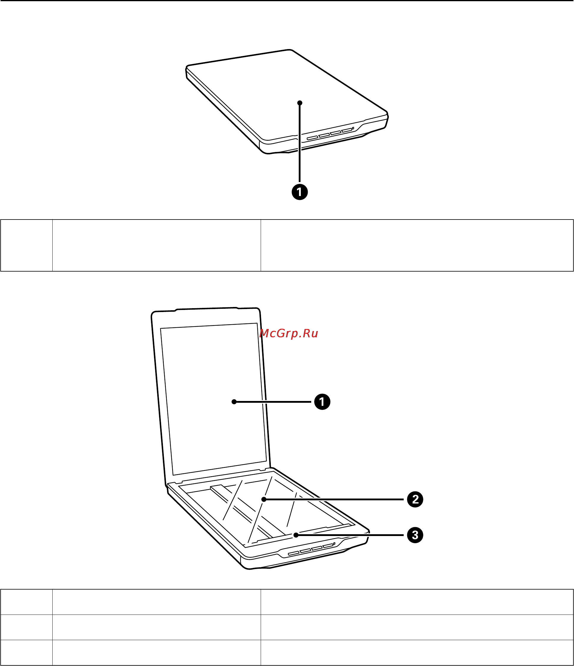 Epson Perfection V19 [10/80] Руководство пользователя