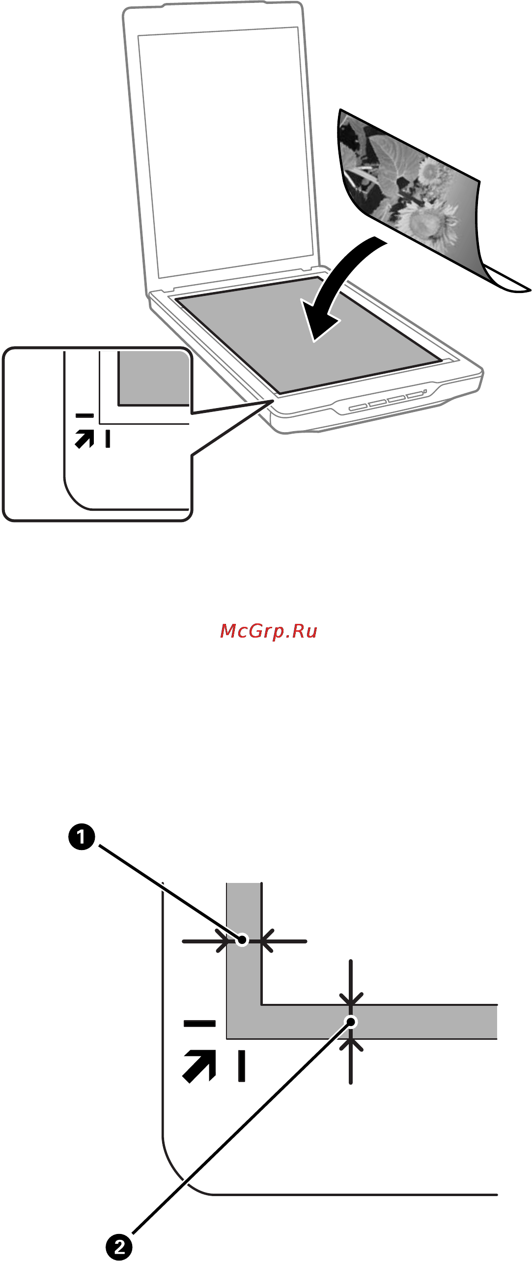 Epson Perfection V19 [16/80] Размещение оригиналов