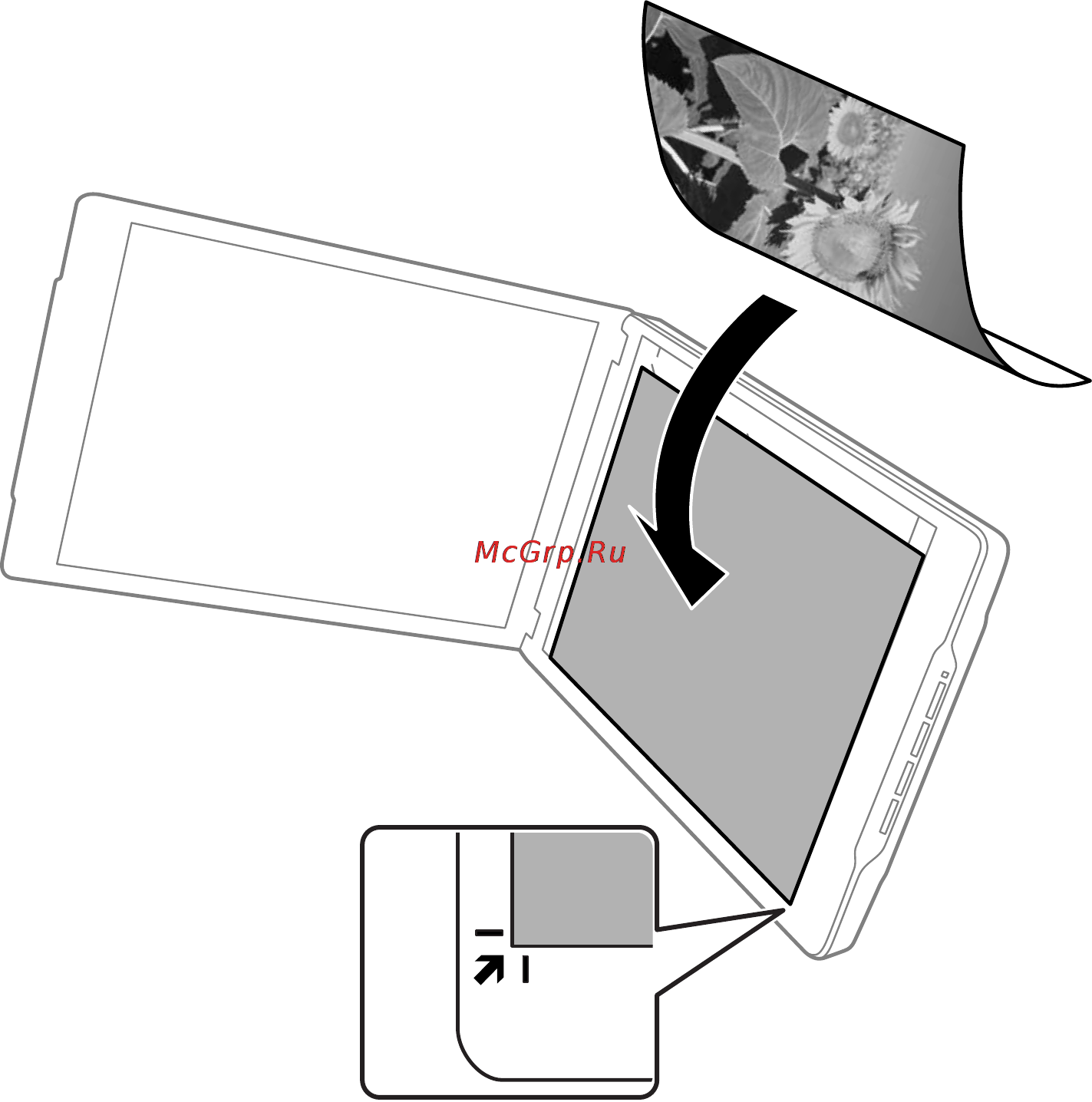 Epson Perfection V19 Руководство пользователя онлайн [19/80] 153898